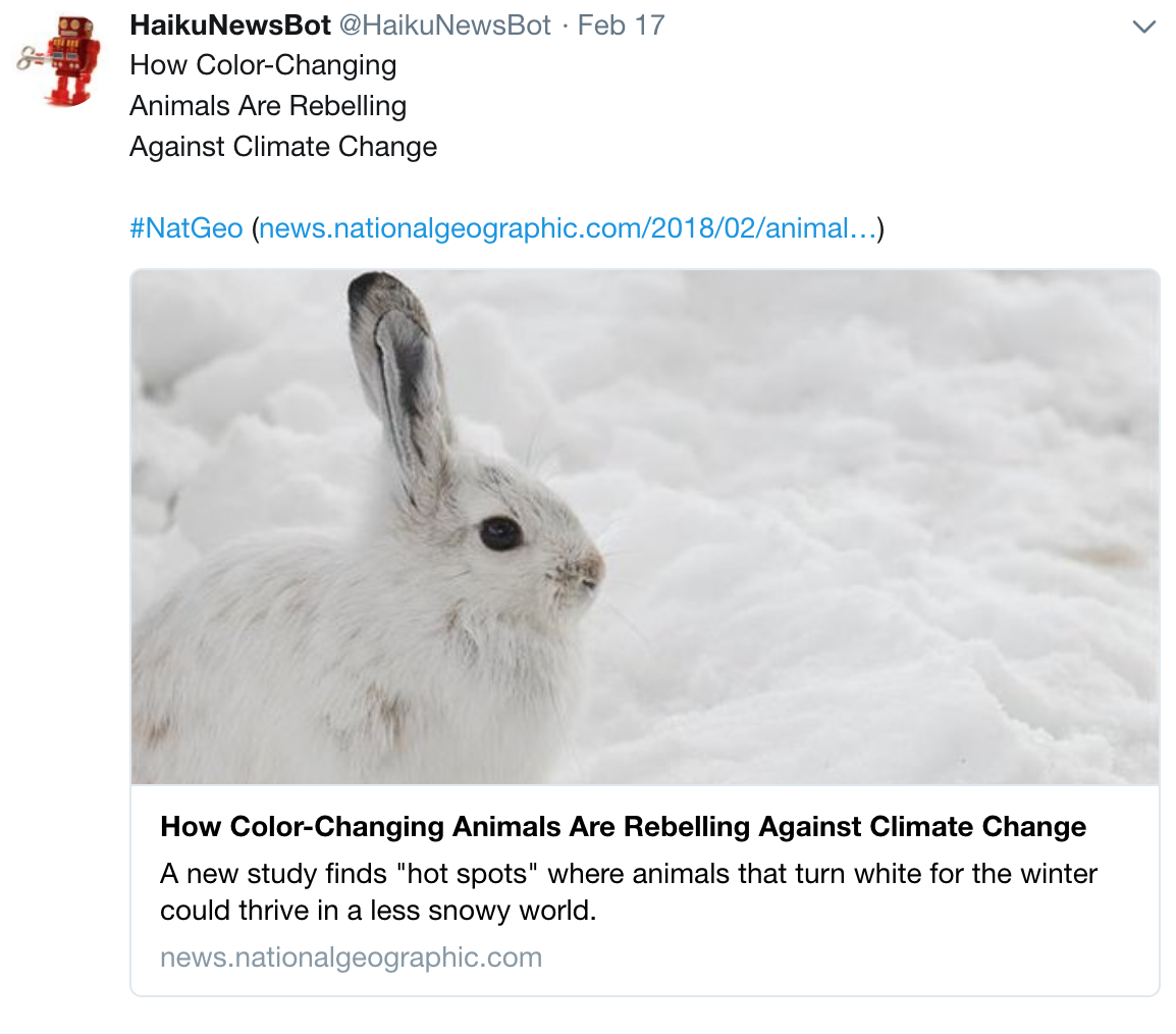 Haiku News Bot